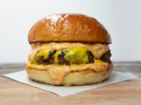 Legjobb sajt és burger párosítások – Ízorgia a zsömlében