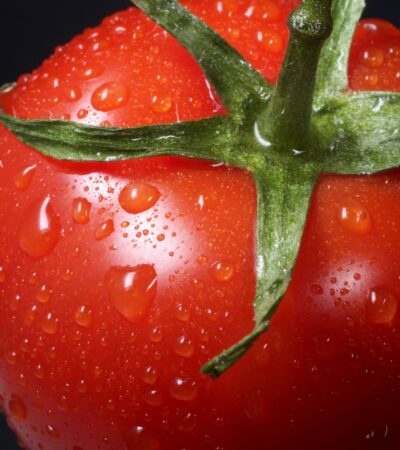 Egy gyümölcs rossz hírének története: tényleg azt hitték, hogy a paradicsom mérgező?