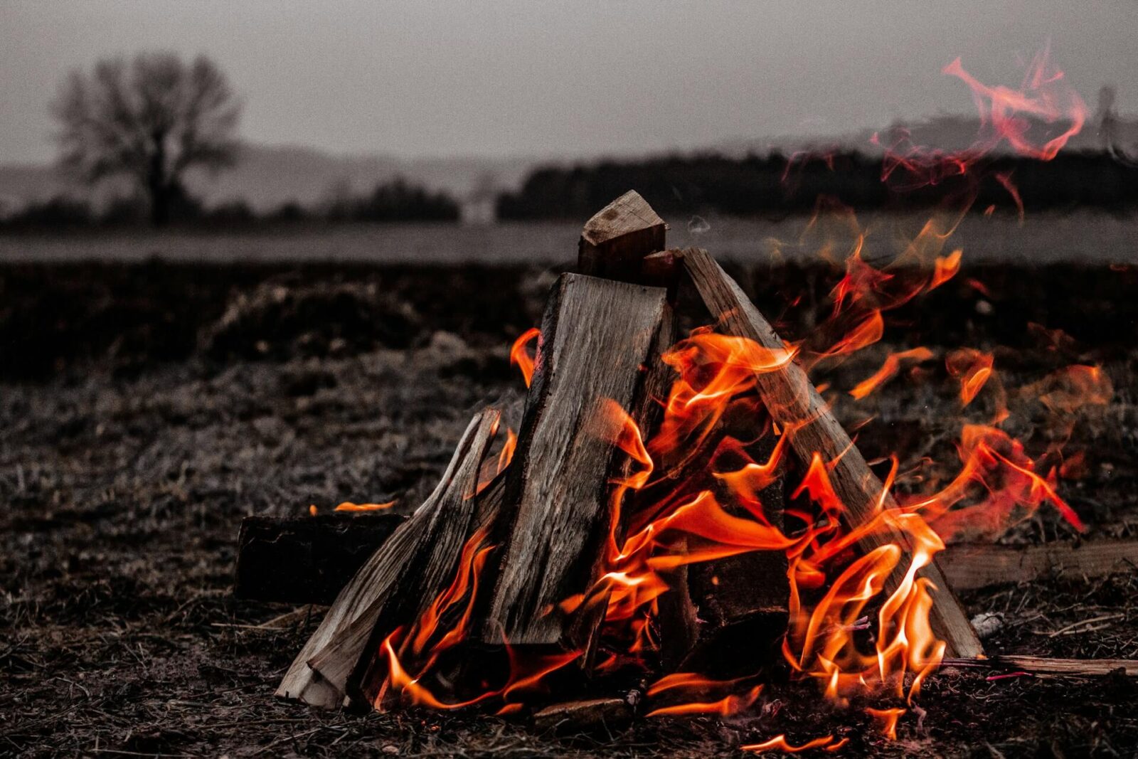 Tudod ki volt az első grillmester? Váncsa István megválaszolja!