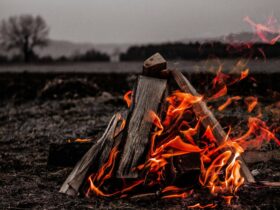 Tudod ki volt az első grillmester? Váncsa István megválaszolja!