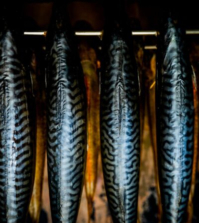 A füstölés alapjai: füstölők és faanyagok választása