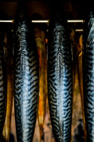 A füstölés alapjai: füstölők és faanyagok választása